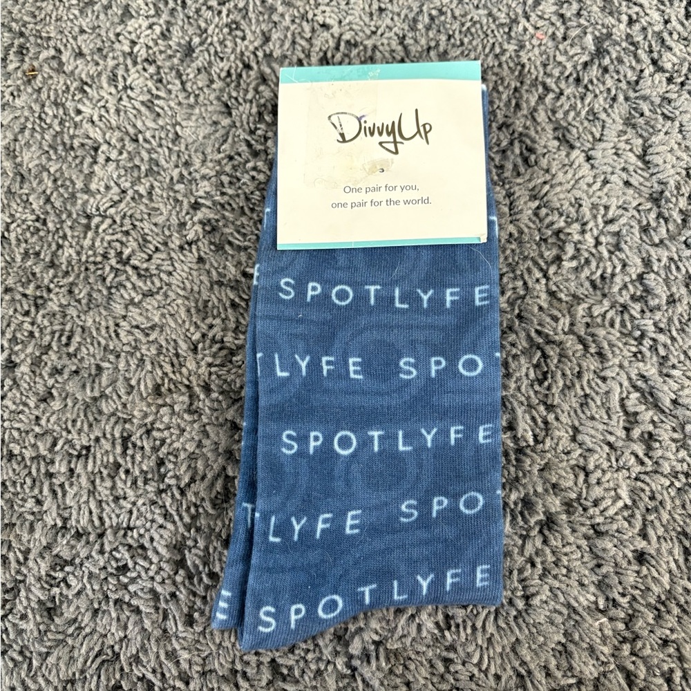 NWT Divvy Up men’s blue Spotlyfe socks